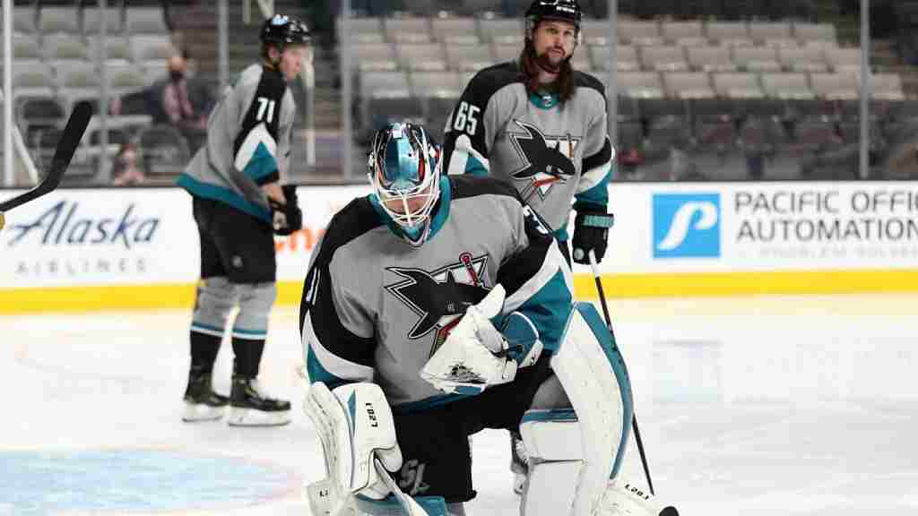 san jose sharks.jpeg