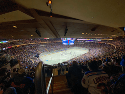 Unveiling the Dynamics of Odds Across Sports